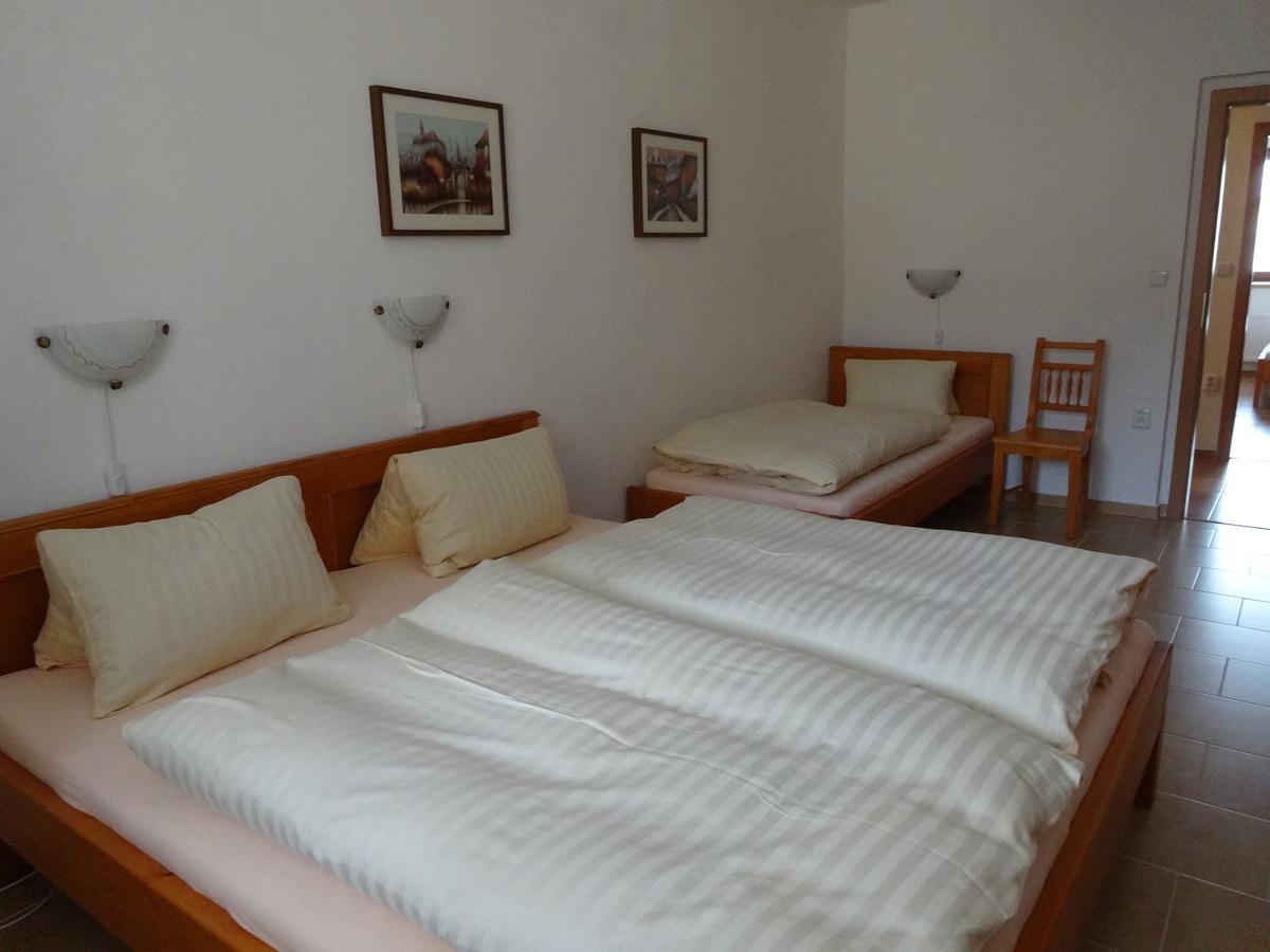Hostinec U Janatu S Ubytovanim Cestin Room photo